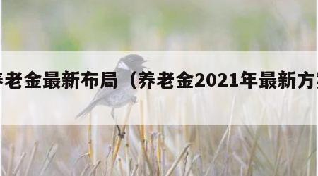 养老金最新布局（养老金2021年最新方案）