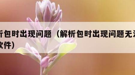 解析包时出现问题（解析包时出现问题无法安装软件）