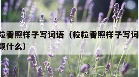 粒粒香照样子写词语（粒粒香照样子写词语,颗颗什么）