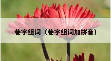 巷字组词（巷字组词加拼音）