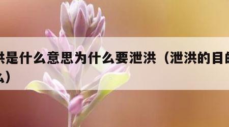 泄洪是什么意思为什么要泄洪（泄洪的目的是什么）