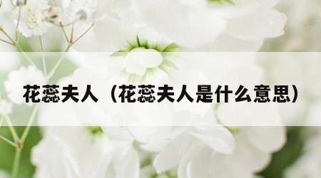 花蕊夫人（花蕊夫人是什么意思）