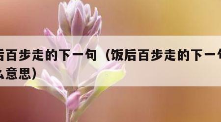 饭后百步走的下一句（饭后百步走的下一句是什么意思）