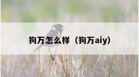 狗万怎么样（狗万aiy）