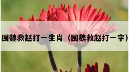 围魏救赵打一生肖（围魏救赵打一字）