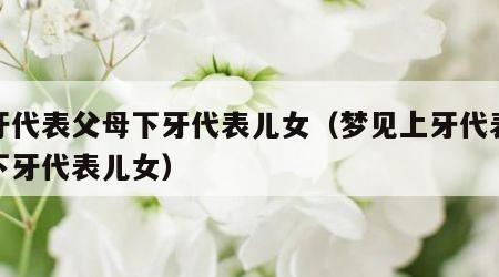 上牙代表父母下牙代表儿女（梦见上牙代表父母下牙代表儿女）