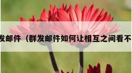 群发邮件（群发邮件如何让相互之间看不到）