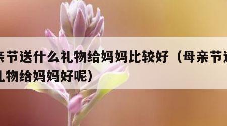 母亲节送什么礼物给妈妈比较好（母亲节送什么礼物给妈妈好呢）