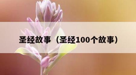 圣经故事（圣经100个故事）