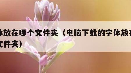 字体放在哪个文件夹（电脑下载的字体放在哪个文件夹）