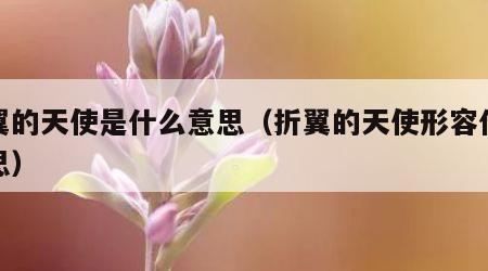 折翼的天使是什么意思（折翼的天使形容什么意思）