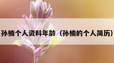 孙楠个人资料年龄（孙楠的个人简历）