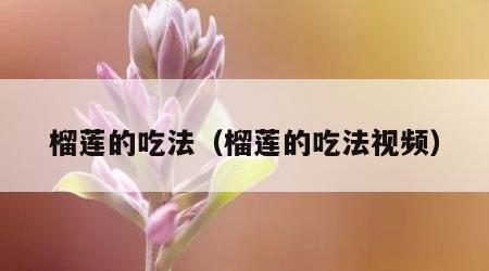 榴莲的吃法（榴莲的吃法视频）