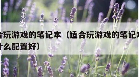 适合玩游戏的笔记本（适合玩游戏的笔记本电脑什么配置好）