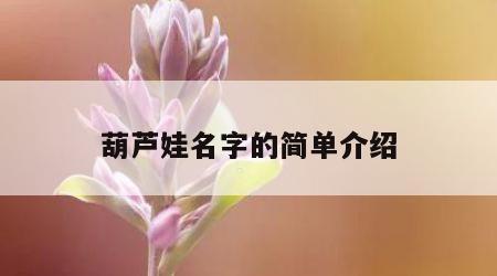 葫芦娃名字的简单介绍