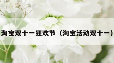 淘宝双十一狂欢节（淘宝活动双十一）