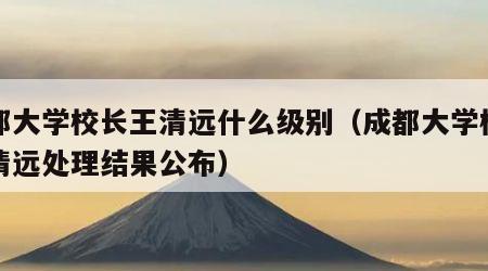 成都大学校长王清远什么级别（成都大学校长王清远处理结果公布）