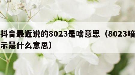 抖音最近说的8023是啥意思（8023暗示是什么意思）