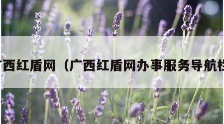 广西红盾网（广西红盾网办事服务导航栏）