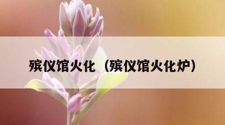 殡仪馆火化（殡仪馆火化炉）