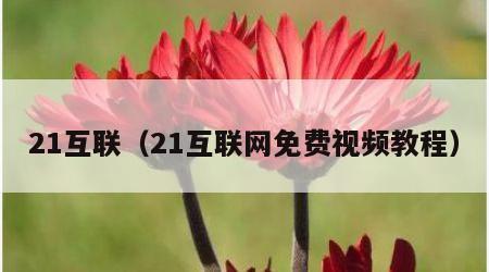 21互联（21互联网免费视频教程）