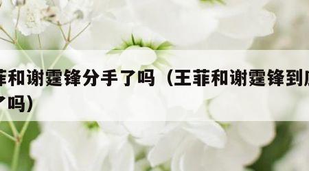 王菲和谢霆锋分手了吗（王菲和谢霆锋到底分手了吗）