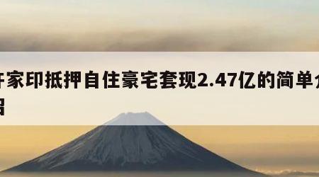 许家印抵押自住豪宅套现2.47亿的简单介绍