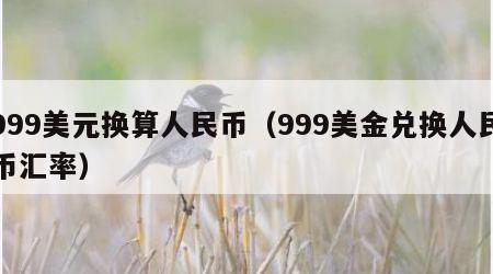 999美元换算人民币（999美金兑换人民币汇率）