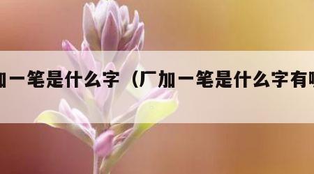 厂加一笔是什么字（厂加一笔是什么字有哪些字）