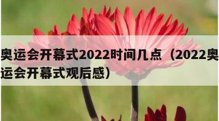 奥运会开幕式2022时间几点（2022奥运会开幕式观后感）