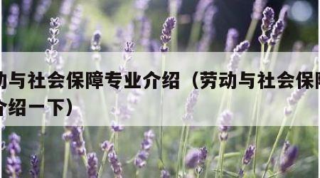 劳动与社会保障专业介绍（劳动与社会保障专业介绍一下）