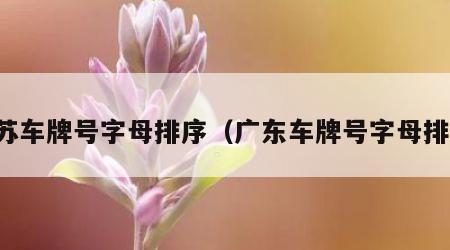 江苏车牌号字母排序（广东车牌号字母排序）