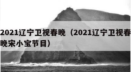 2021辽宁卫视春晚（2021辽宁卫视春晚宋小宝节目）