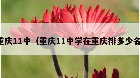 重庆11中（重庆11中学在重庆排多少名）