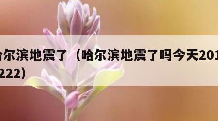 哈尔滨地震了（哈尔滨地震了吗今天20191222）