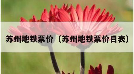 苏州地铁票价（苏州地铁票价目表）