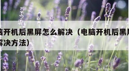 电脑开机后黑屏怎么解决（电脑开机后黑屏怎么解决方法）