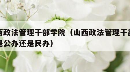 山西政法管理干部学院（山西政法管理干部学院是公办还是民办）