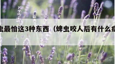 蜱虫最怕这3种东西（蜱虫咬人后有什么症状）