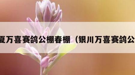 宁夏万喜赛鸽公棚春棚（银川万喜赛鸽公棚）