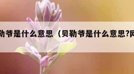 贝勒爷是什么意思（贝勒爷是什么意思?网络）