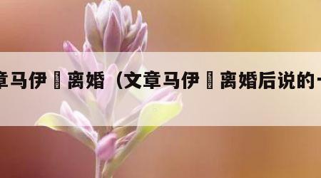 文章马伊琍离婚（文章马伊琍离婚后说的一句话）