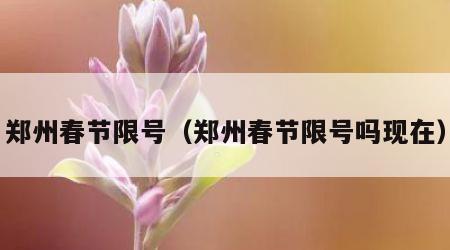 郑州春节限号（郑州春节限号吗现在）