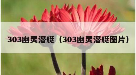 303幽灵潜艇（303幽灵潜艇图片）