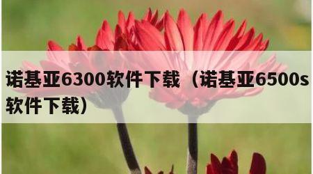 诺基亚6300软件下载（诺基亚6500s软件下载）