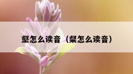 壑怎么读音（粲怎么读音）