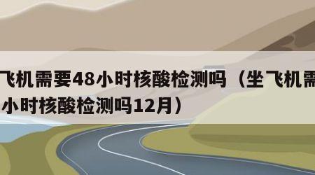 坐飞机需要48小时核酸检测吗（坐飞机需要48小时核酸检测吗12月）