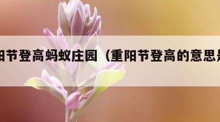 重阳节登高蚂蚁庄园（重阳节登高的意思是什么）