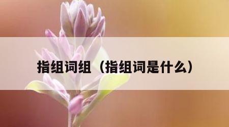 指组词组（指组词是什么）