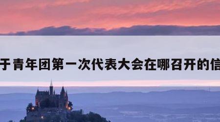 关于青年团第一次代表大会在哪召开的信息